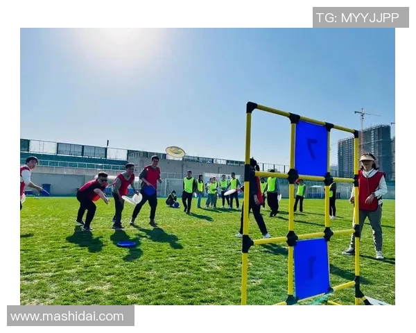 飞盘热潮下的北京飞盘队个人能力之争引发热议与思考